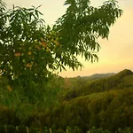 Weingut- Gästezimmer Marko