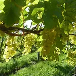 Weingut- Gästezimmer Marko