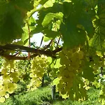 Weingut- Gästezimmer Marko * Leutschach