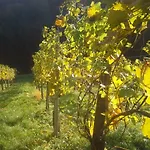 Weingut- Gästezimmer Marko