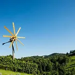Weingut- Gästezimmer Marko