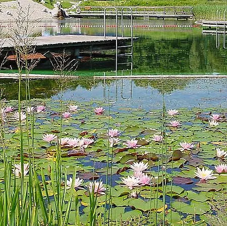 Weingut- Gaestezimmer Marko *