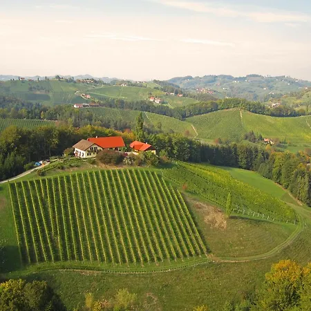 Weingut- Gaestezimmer Marko 公寓 *