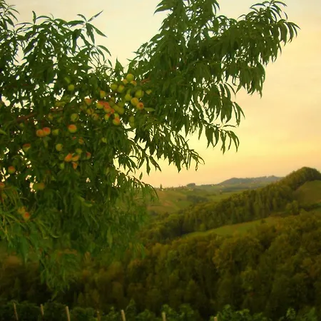Weingut- Gaestezimmer Marko