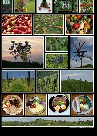 Weingut- Gaestezimmer Marko *