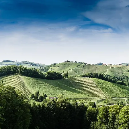 דירה Weingut- Gaestezimmer Marko ליוצכאך