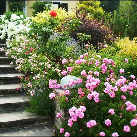 Weingut- Gaestezimmer Marko דירה *