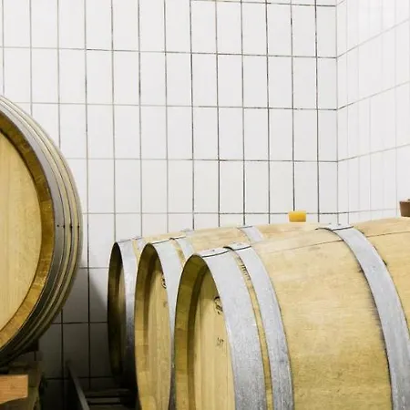 Weingut- Gaestezimmer Marko דירה