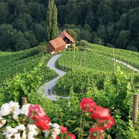 Διαμέρισμα Weingut- Gaestezimmer Marko Leutschach