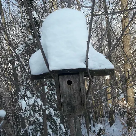 Weingut- Gaestezimmer Marko דירה *