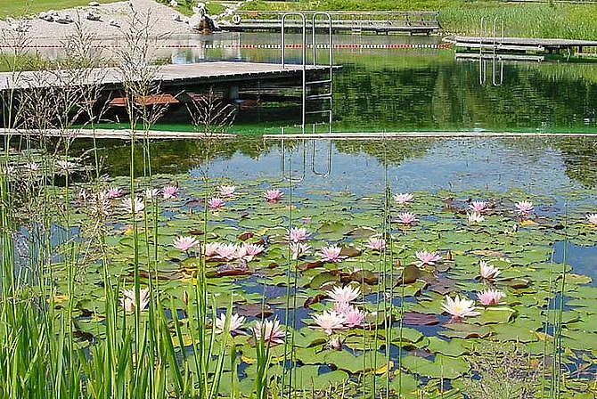 Weingut- Gaestezimmer Marko *