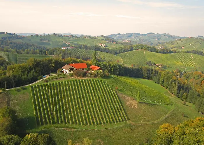 Weingut- Gaestezimmer Marko 公寓 *