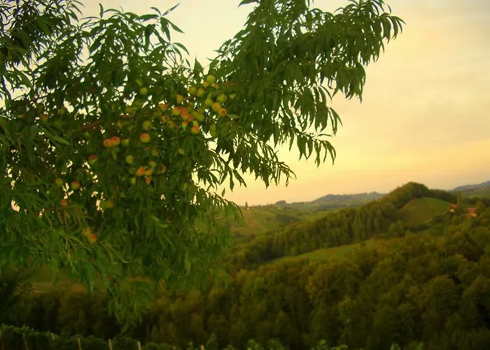 Weingut- Gaestezimmer Marko