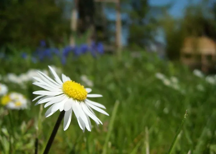 Weingut- Gaestezimmer Marko 公寓