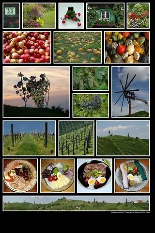 Weingut- Gaestezimmer Marko *