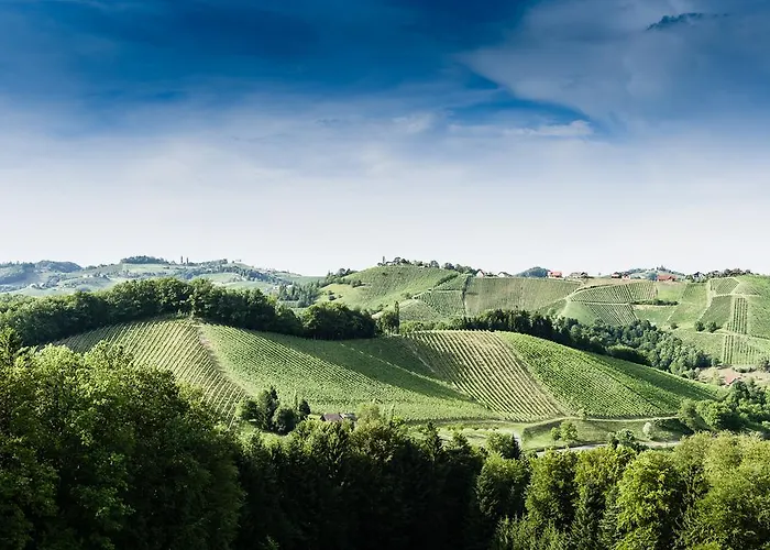 Apartamento Weingut- Gaestezimmer Marko Leutschach