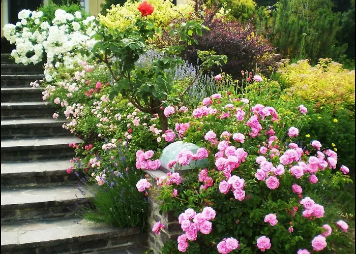 Weingut- Gaestezimmer Marko 公寓 *