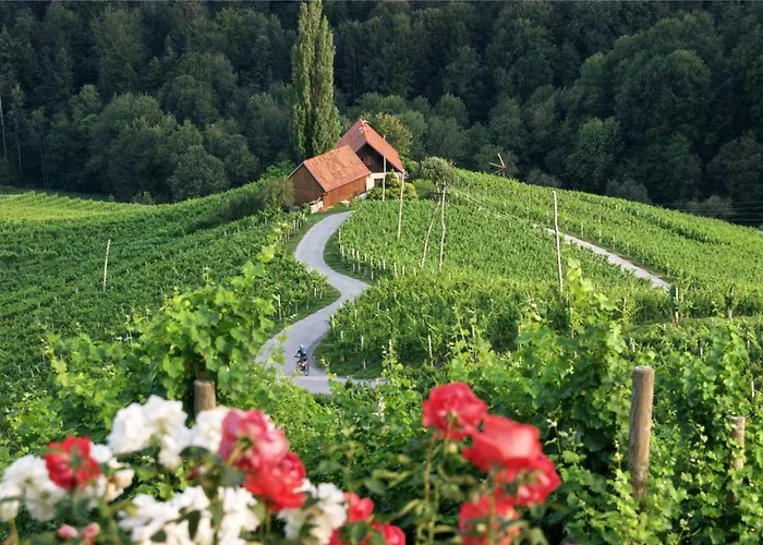 公寓 Weingut- Gaestezimmer Marko 里欧查赫