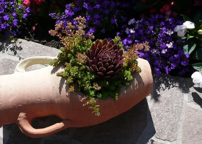 Weingut- Gaestezimmer Marko 里欧查赫